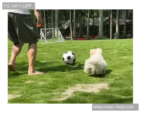 足球踢高球的技巧与训练方法解析助你提升球技与比赛表现